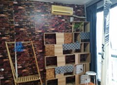 ���˳��⣬ԭʼʵǽ���ң�����̨�����ݿյ�����ʵ��ͼƬ